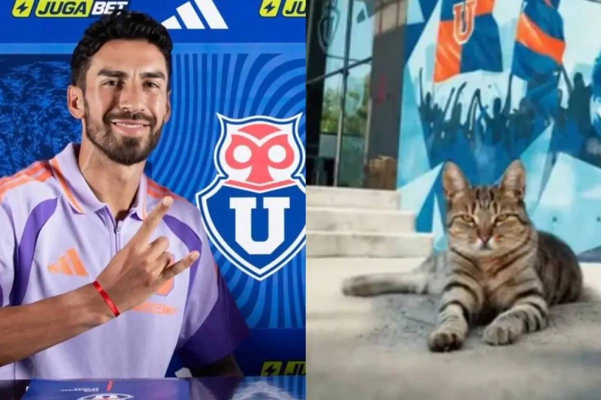 Juan Martín Lucero fue presentado en la U , Universidad de Chile