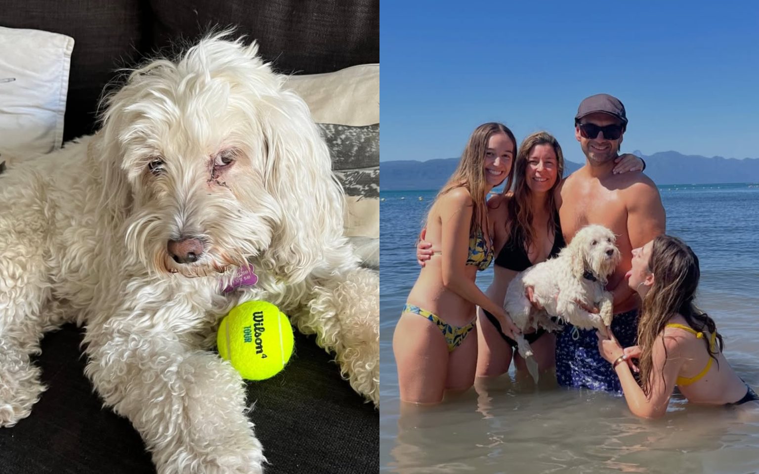 Rodrigo Sepúlveda y su Nala - Instagram