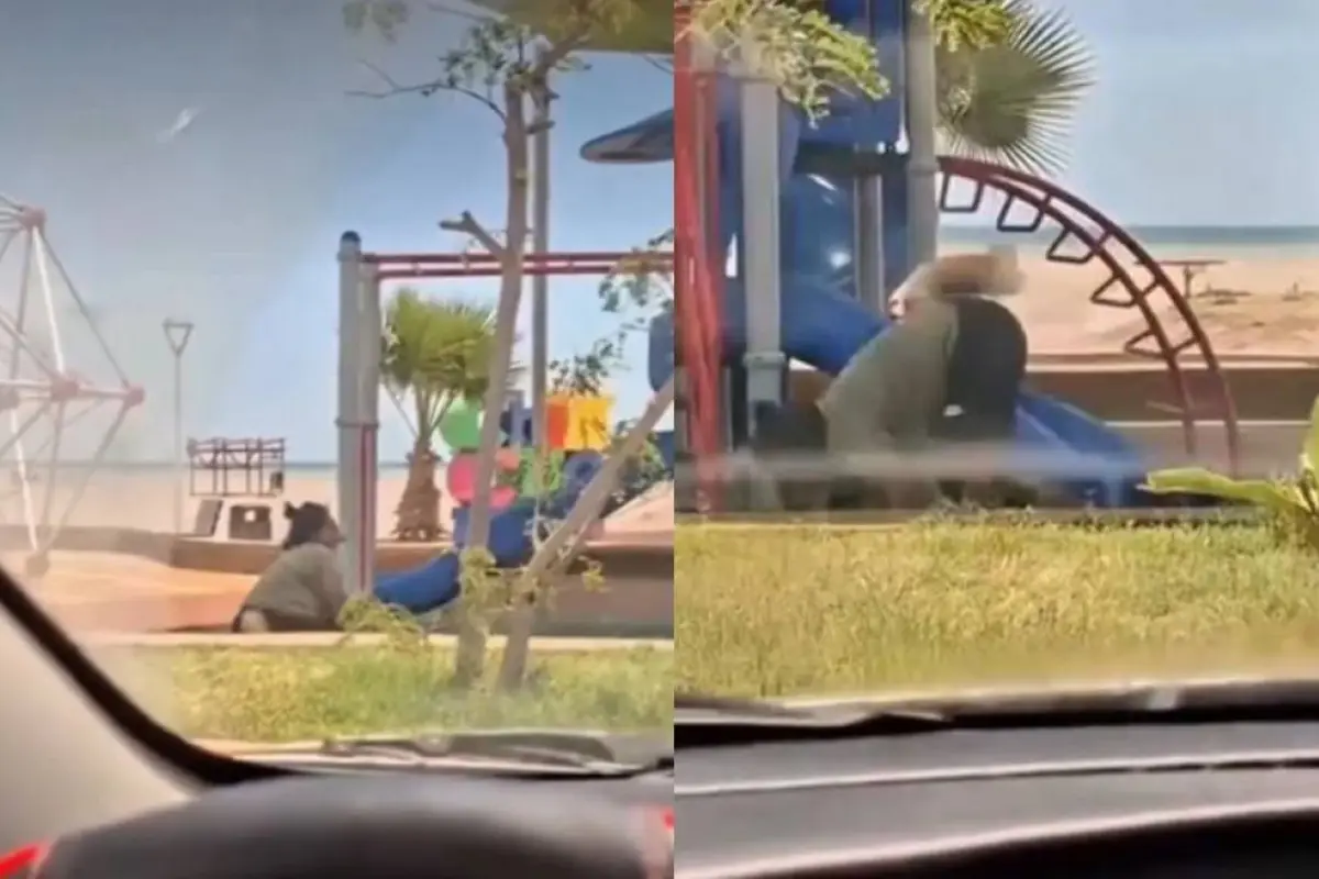 Captan a pareja ''Therian'' en Arica , Captura 