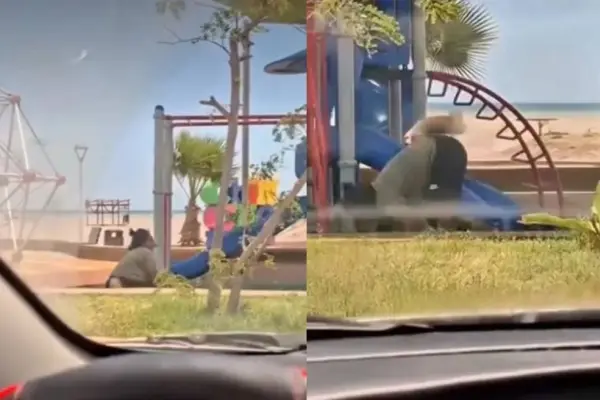 Captan a pareja ''Therian'' en Arica  ,Captura 