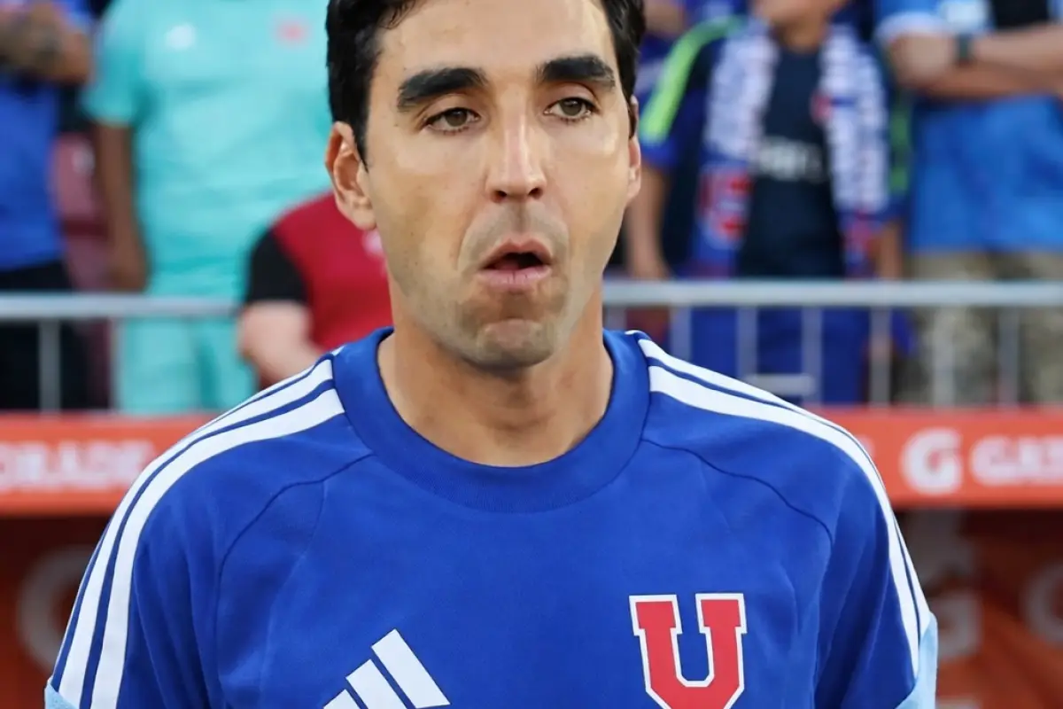 Francisco Meneghini, Redes sociales