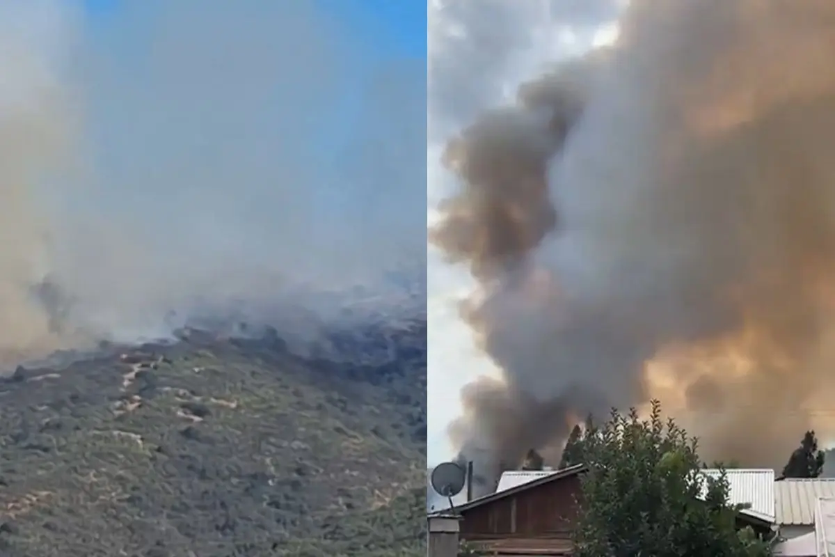 Incendio forestal este sábado en cercanías de Melipilla, red X