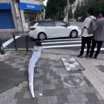 Serpiente therian arrastrándose en el piso de una ciudad, Cedida