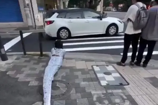 Serpiente therian arrastrándose en el piso de una ciudad ,Cedida