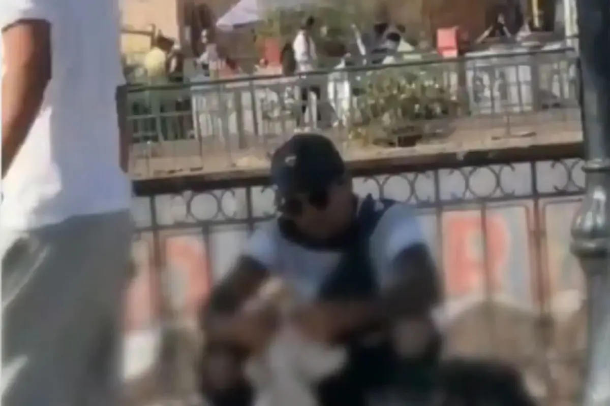 Presunta venta de gato en el centro de Santiago ,T13 