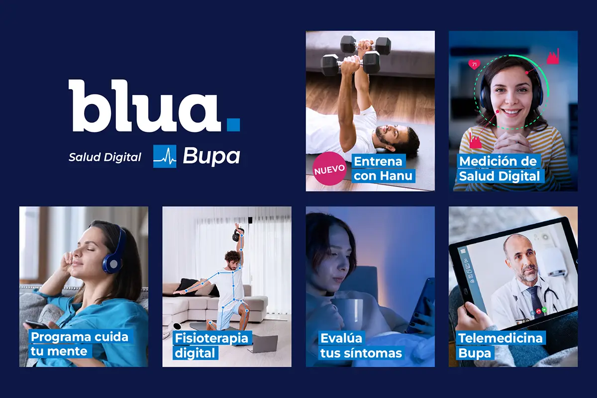 Blua | Clínica Bupa, Cedida