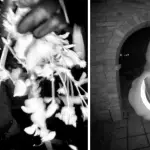 Sospechoso del secuestro de la adulta mayor, FBI | X