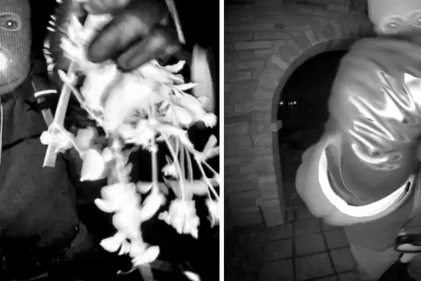 Sospechoso del secuestro de la adulta mayor ,FBI | X