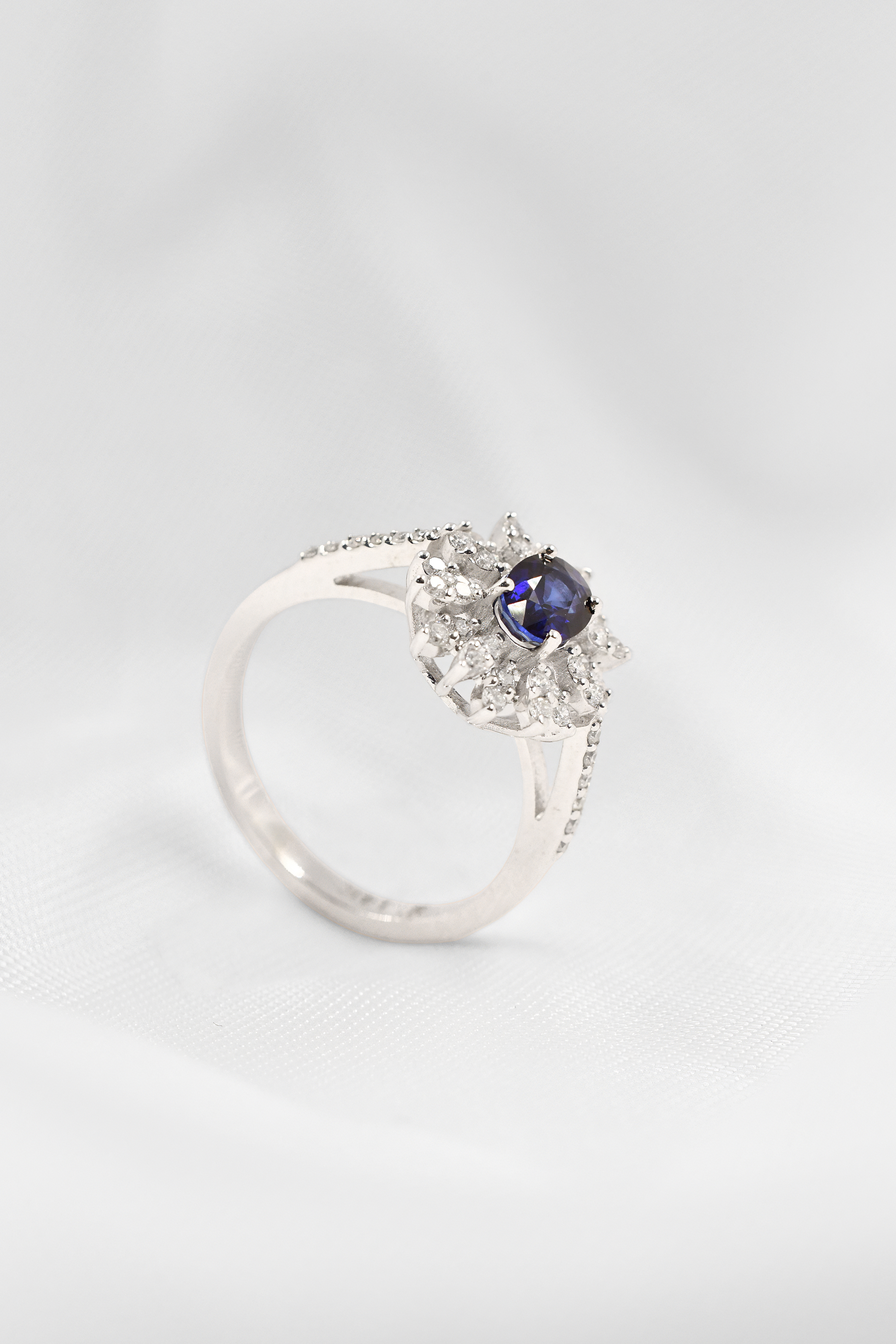 Nerissa: Hija del Mar - Cedida