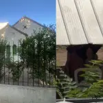 Cuidadoras fueron sorprendidas al interior de casa en Ñuñoa, Captura