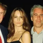 Caso de Jeffrey Epstein, Google