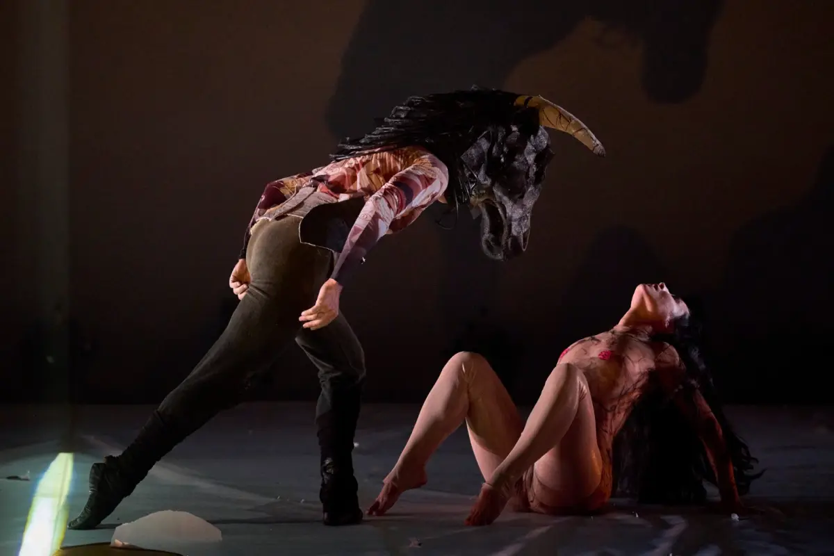 Flamenco en Teatro Las Condes, Cedida