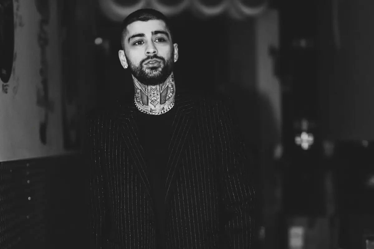 Zayn Malik, Redes sociales