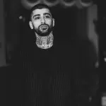 Zayn Malik, Redes sociales