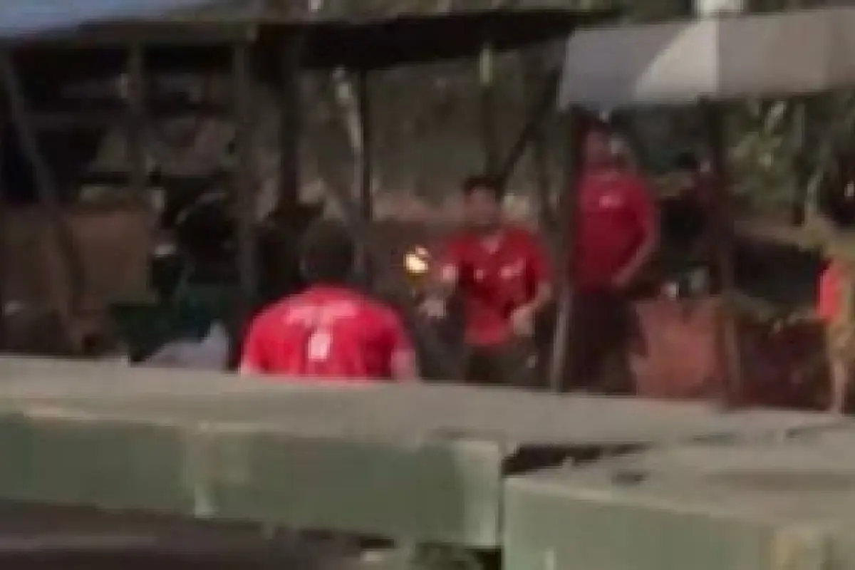 Funcionarios de la Conaf jugando con brasas, Captura de pantalla