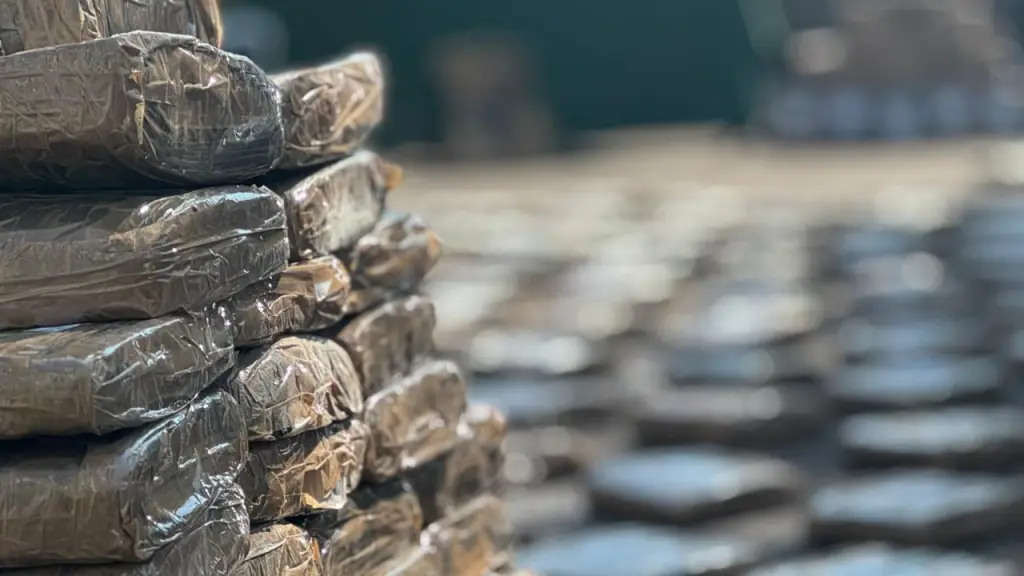 Carabineros de Chile - Cedida