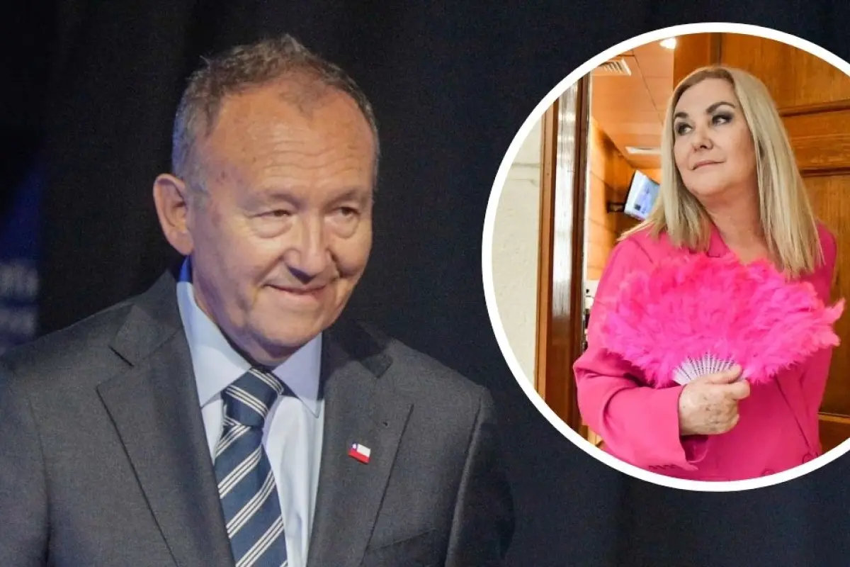 Futuro ministro Ruminot rechaza retiro previsional para damnificados por incendios, ARCHIVO | Agencia UNO