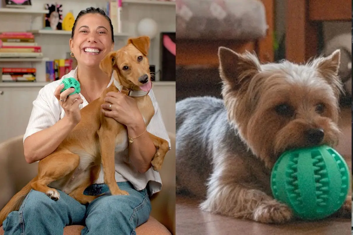 Japi Jane apuesta por inusual lanzamiento, Cedida