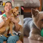 Japi Jane apuesta por inusual lanzamiento, Cedida