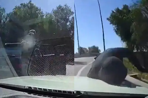 Automovilista atropelló a delincuentes ,Captura