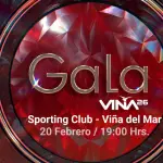 Gala Viña del Mar 2026, Google
