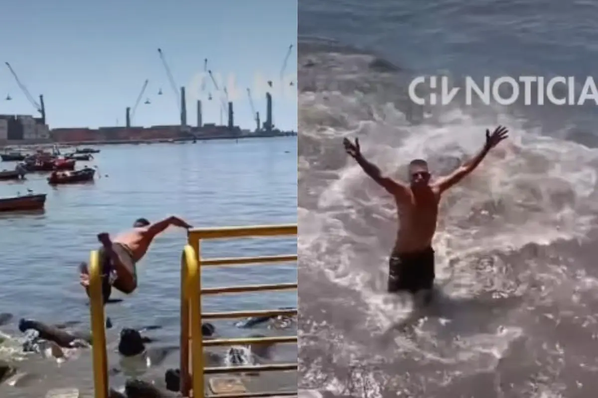 Los lobos marinos fueron asustados por un desconocido, Captura