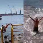 Los lobos marinos fueron asustados por un desconocido, Captura