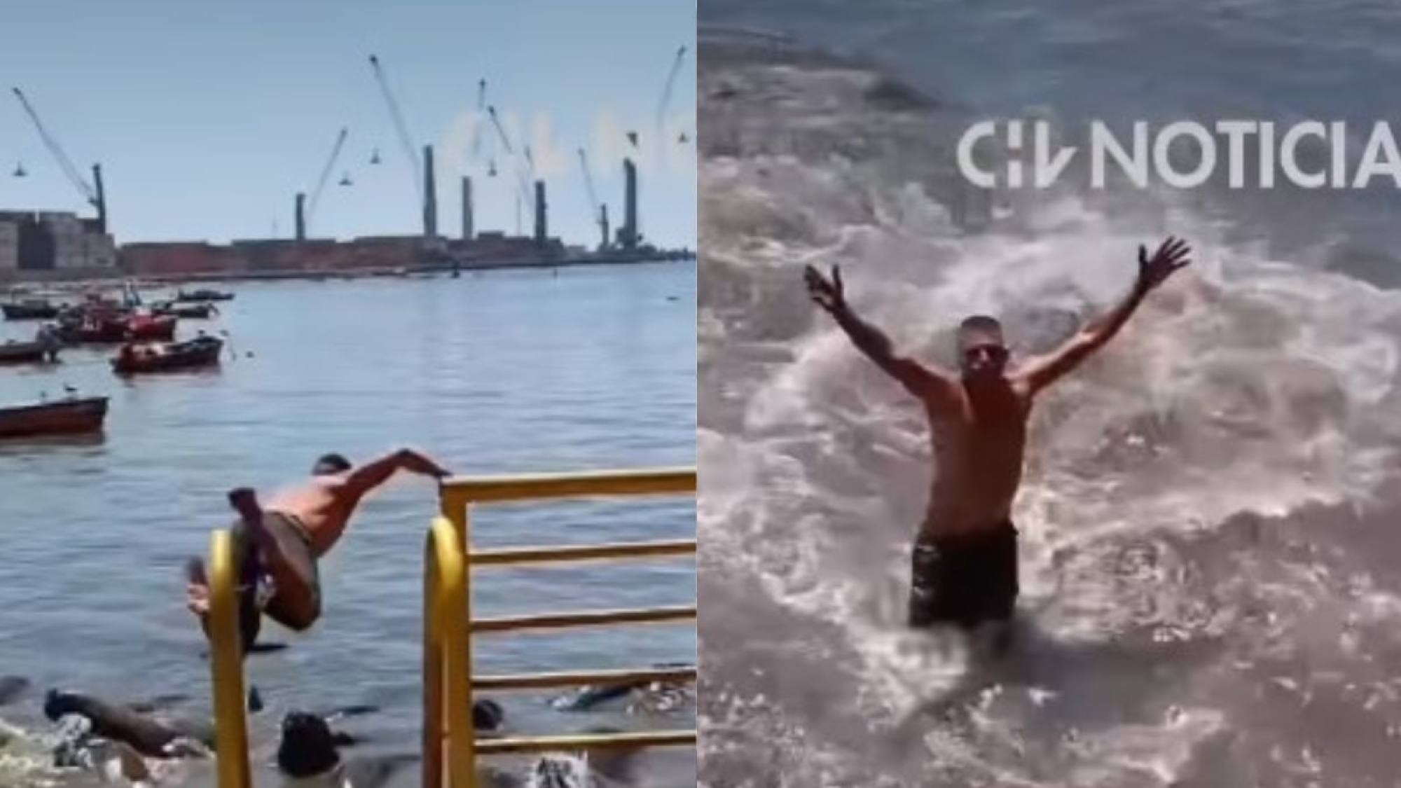 Hombre se lanzó sobre lobos marinos que descansaban en el mar: sujeto pudo ser atacado