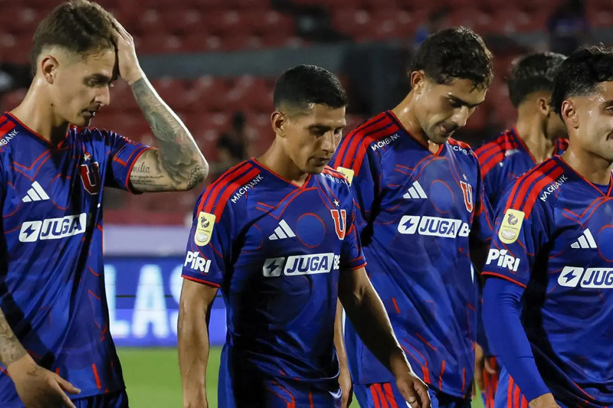 Universidad de Chile, Redes sociales