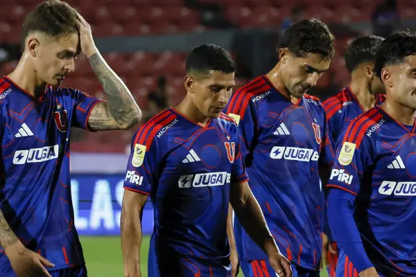 Universidad de Chile ,Redes sociales