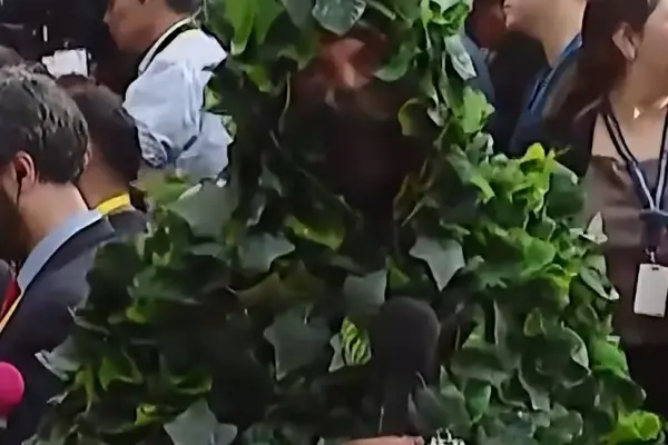 Periodista disfrazado de arbusto  ,Captura de Instagram / Redes Sociales