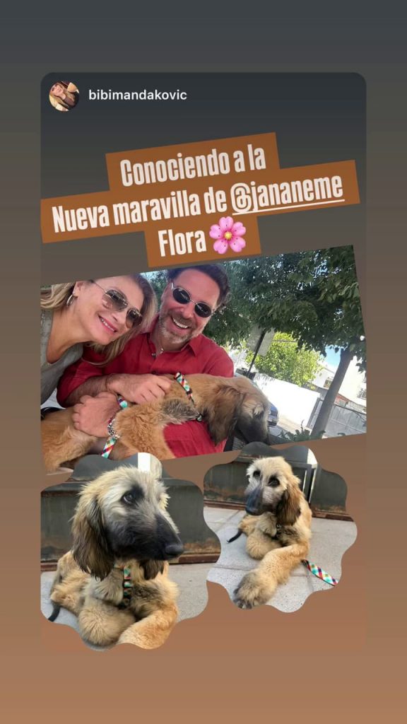 La nueva perrita de José Antonio Neme - Captura de redes sociales