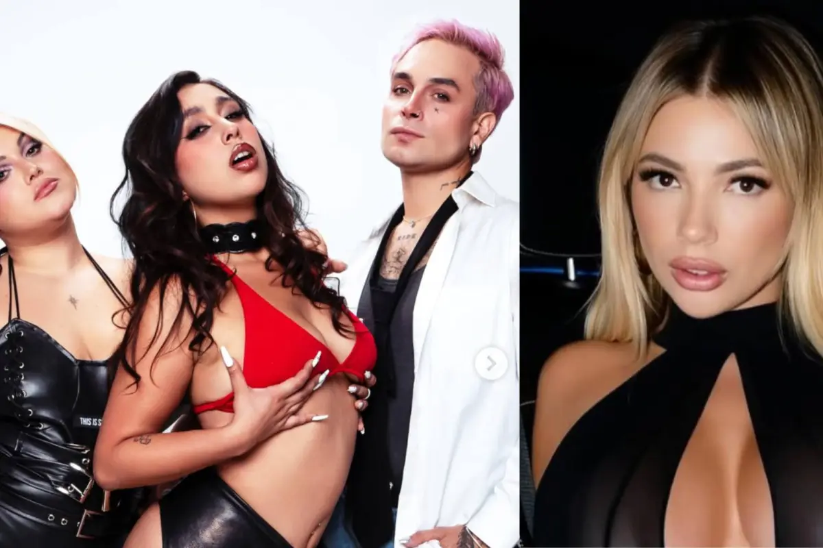 Gatita VEVEl V/S Artistas, Captura de pantalla