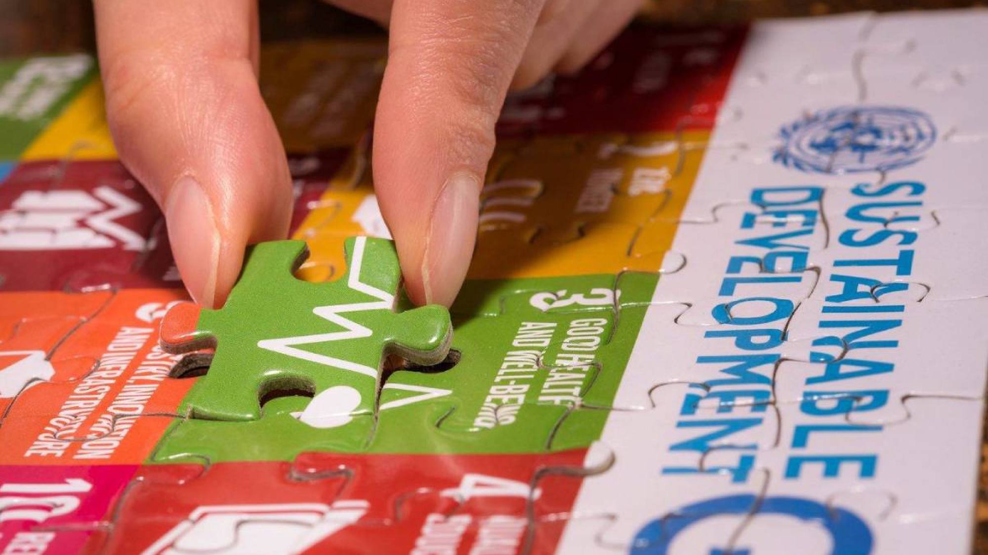 Pacto Global Chile: La acción empresarial por un mundo más sostenible