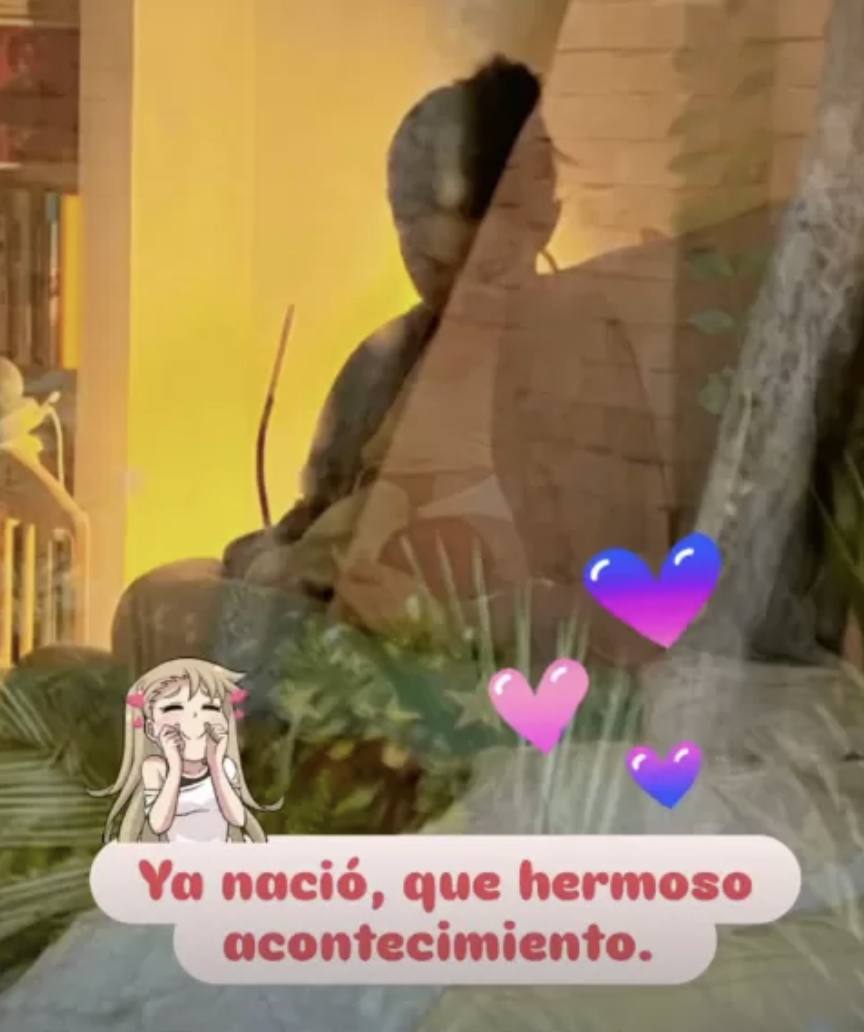 Mariana di Girolamo - Instagram