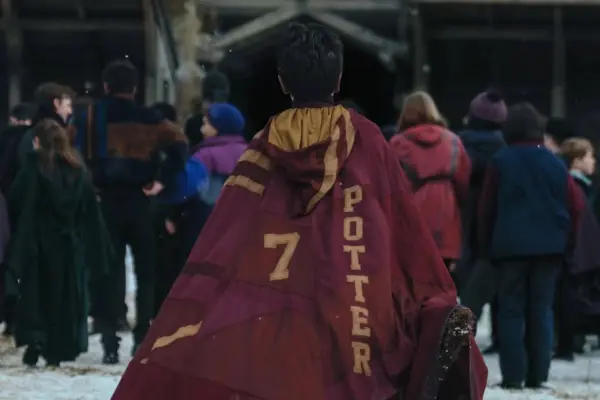 Harry Potter y la Piedra Filosofal  ,Redes Sociales