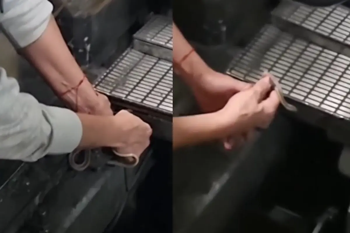 Una serpiente en el metro de Santiago, Captura