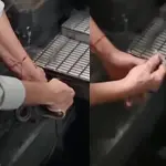 Una serpiente en el metro de Santiago, Captura