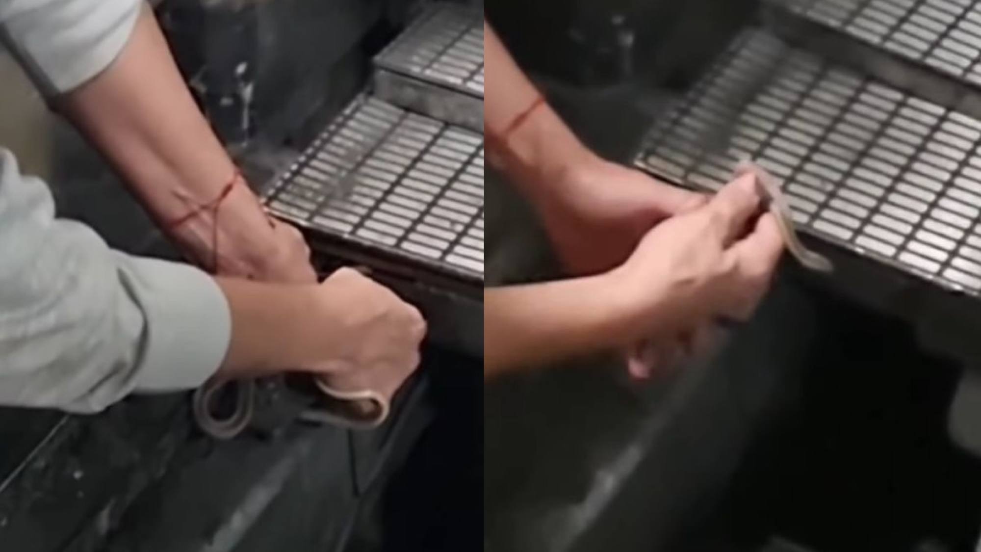 Insólito hallazgo de una serpiente en estación del metro: se encontraba en los rieles de la Línea 1