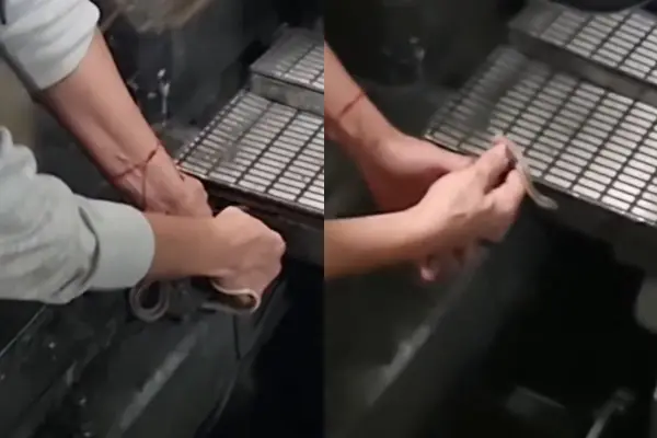 Una serpiente en el metro de Santiago ,Captura