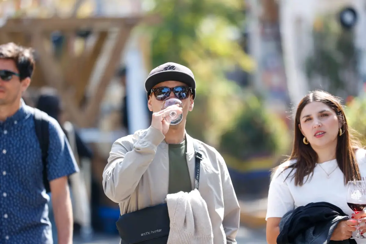 Vendimia Fest 2026 en Providencia , Cedida