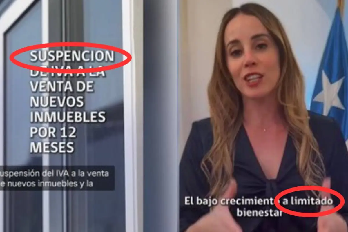 Video con graves errores de ortografía complica a Mara Sedini: Vocería lo borró, pero ya era tarde, Captura