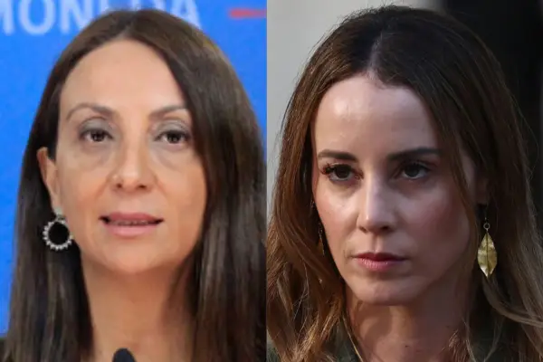 Cecilia Pérez fue vocera de Gobierno con Sebastián Piñera ,Instagram