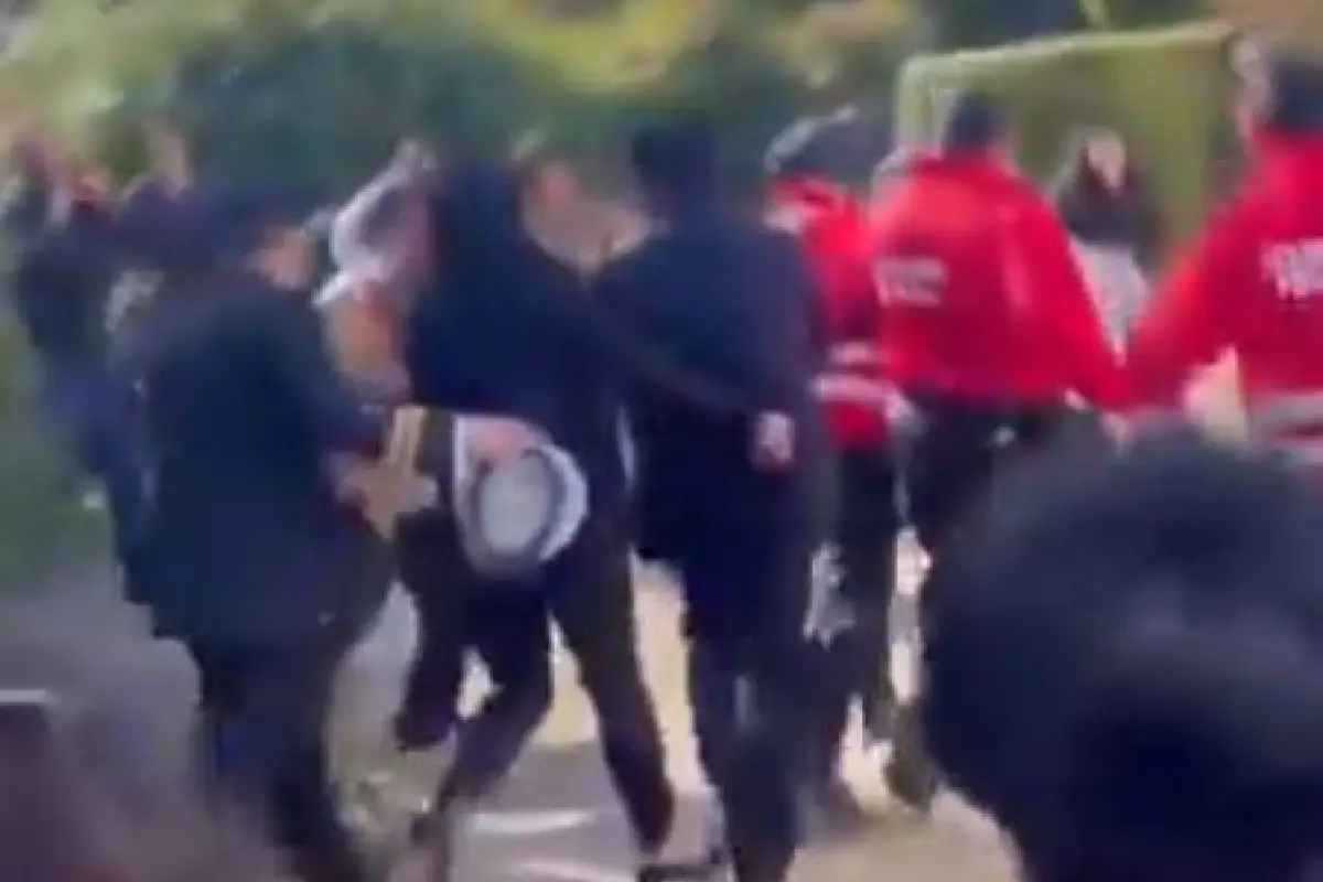 Ministra Ximena Lincolao en Valdivia, Captura de pantalla