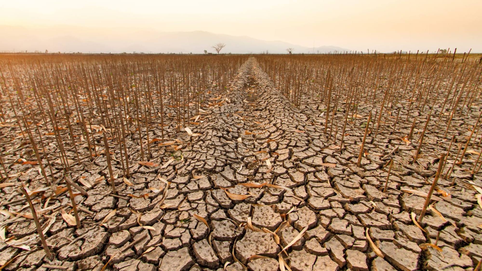 Día de la Tierra: avances regulatorios no logran frenar el deterioro ambiental