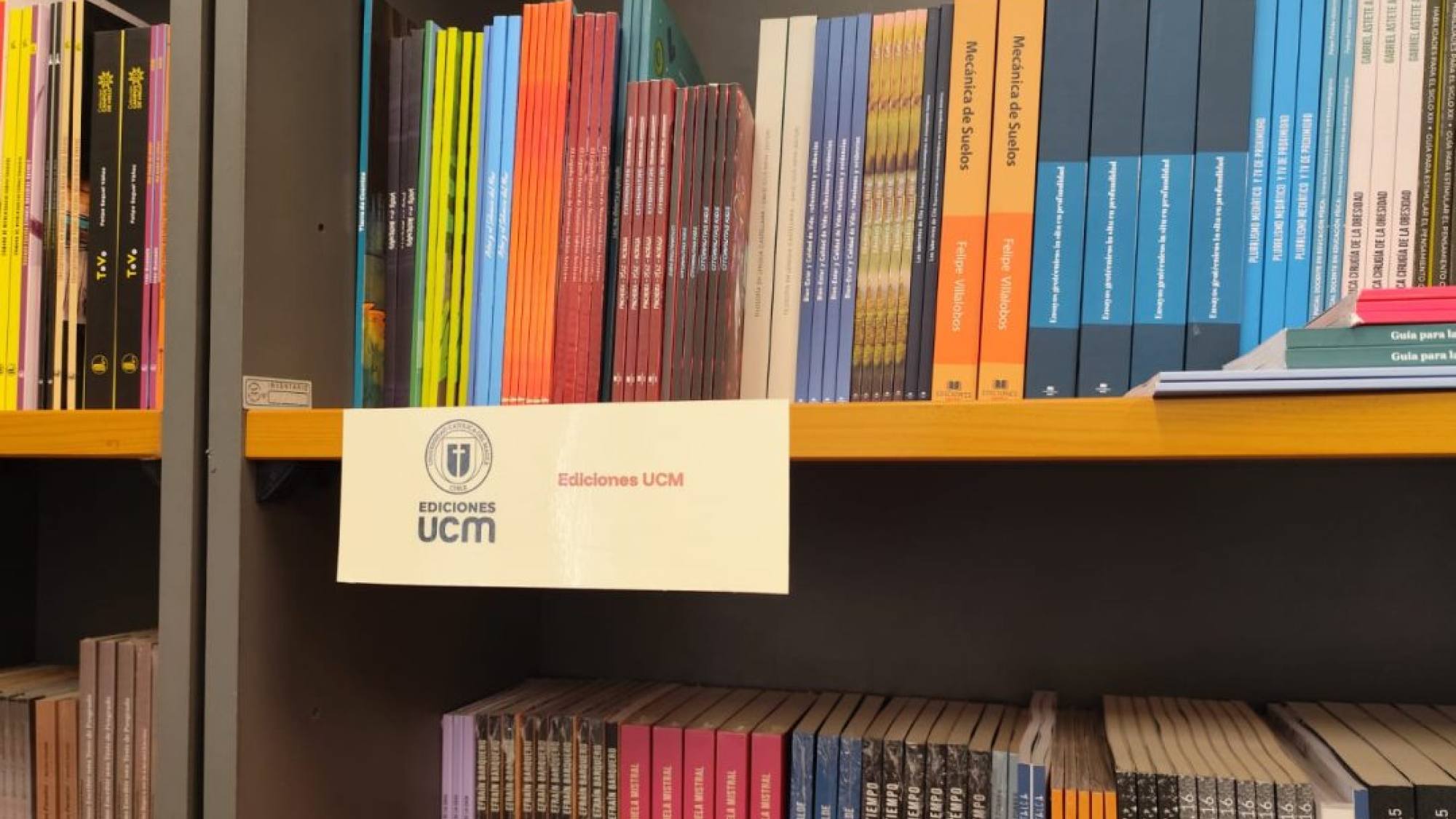 Universidad de Los Lagos inauguró su Biblioteca Chillkawe: iniciativa promueve la descentralización de la lectura