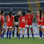 La Roja Femenina, Redes sociales