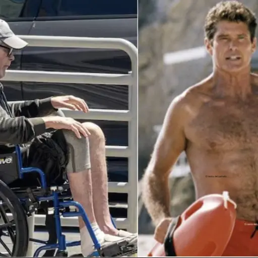 David Hasselhoff