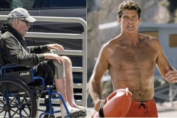 David Hasselhoff