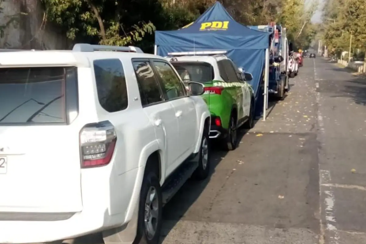El hallazgo alertó a los vecinos de Las Condes, Instagram